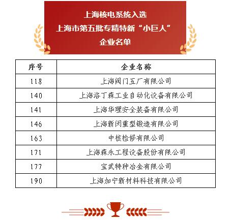 上海閥門五廠 以突破性閥門基礎軟件躋身“小巨人”，砥礪前行無畏創新華章